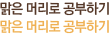 맑은 머리로 공부하기